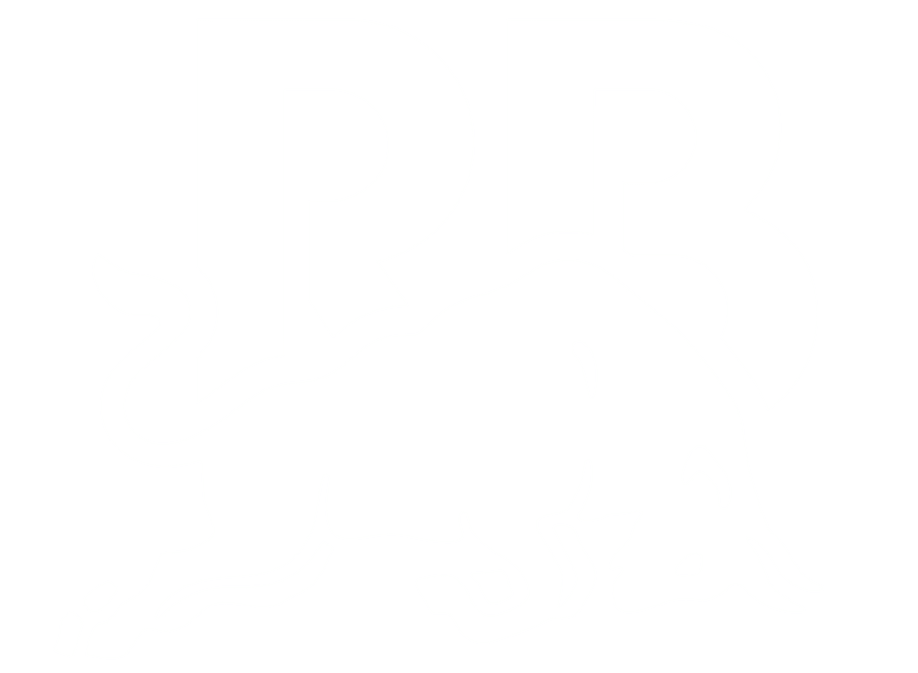 Visa Cash App RB